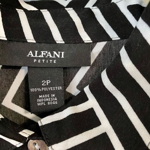 Alfani Black and White Diagonal Stripe Dress - Picture 3 of 6